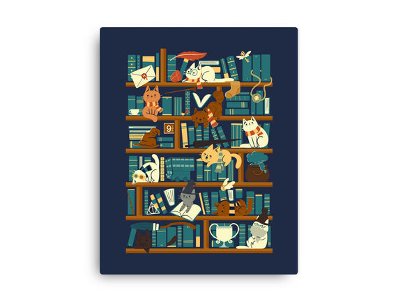 Library Magic School