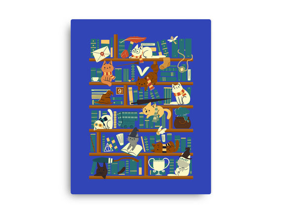 Library Magic School