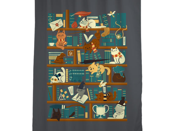 Library Magic School