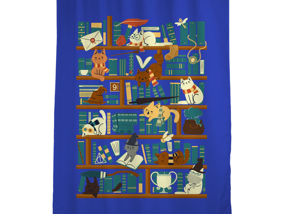 Library Magic School