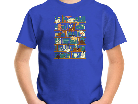 Library Magic School