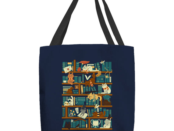 Library Magic School