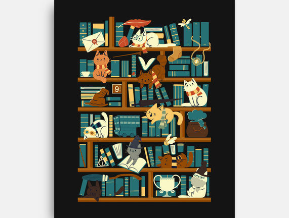 Library Magic School