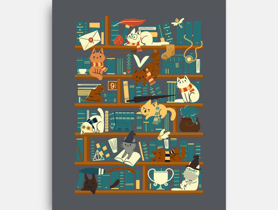 Library Magic School