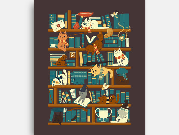 Library Magic School