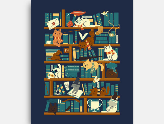 Library Magic School