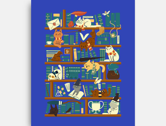 Library Magic School