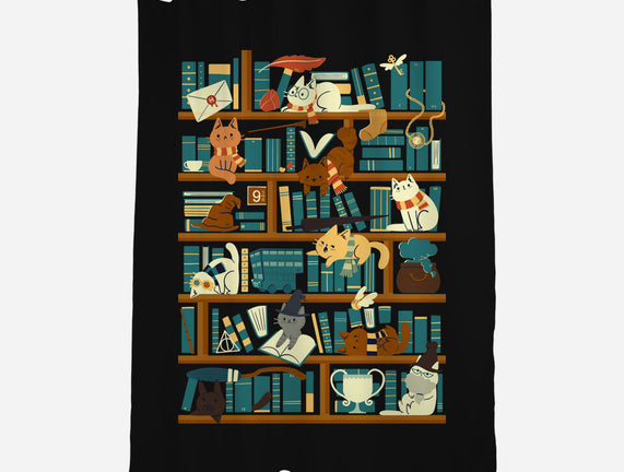 Library Magic School