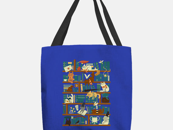 Library Magic School