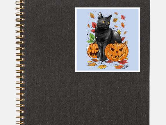 Cat Leaves and Pumpkins