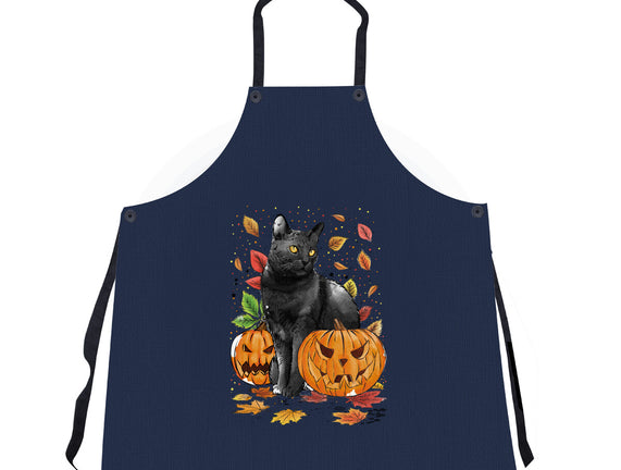 Cat Leaves and Pumpkins