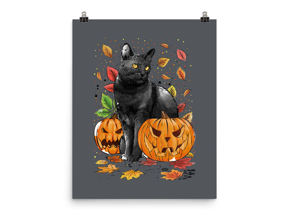 Cat Leaves and Pumpkins