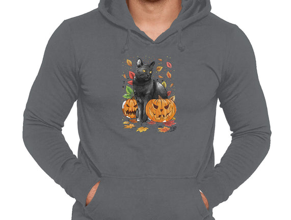 Cat Leaves and Pumpkins
