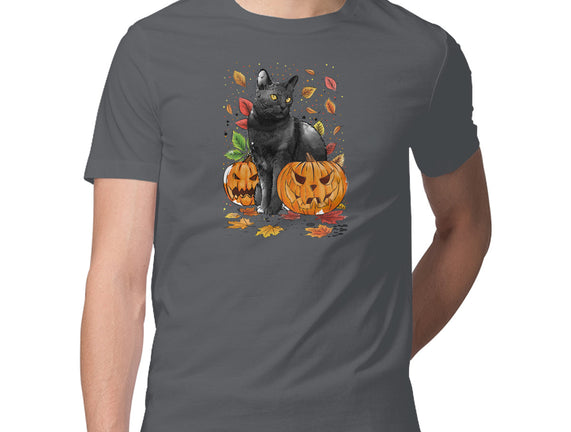 Cat Leaves and Pumpkins