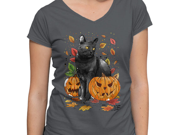Cat Leaves and Pumpkins