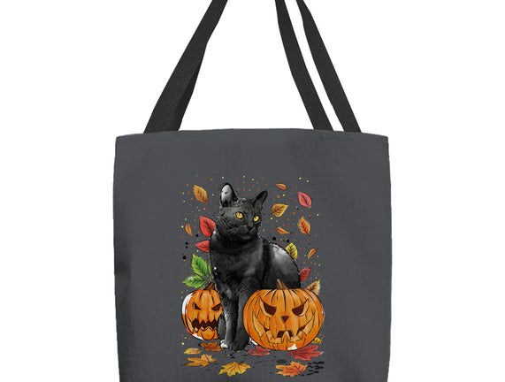 Cat Leaves and Pumpkins
