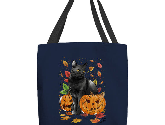 Cat Leaves and Pumpkins