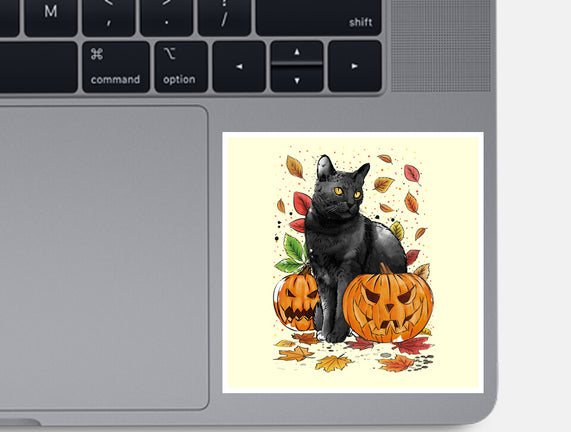 Cat Leaves and Pumpkins