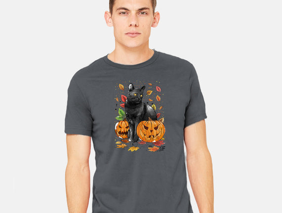 Cat Leaves and Pumpkins