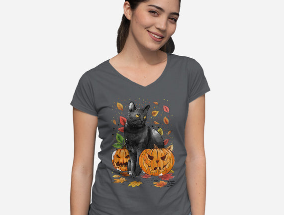 Cat Leaves and Pumpkins
