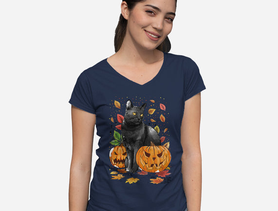 Cat Leaves and Pumpkins