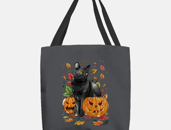 Cat Leaves and Pumpkins