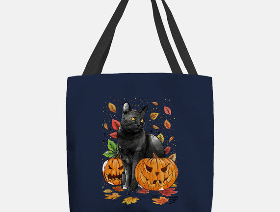 Cat Leaves and Pumpkins