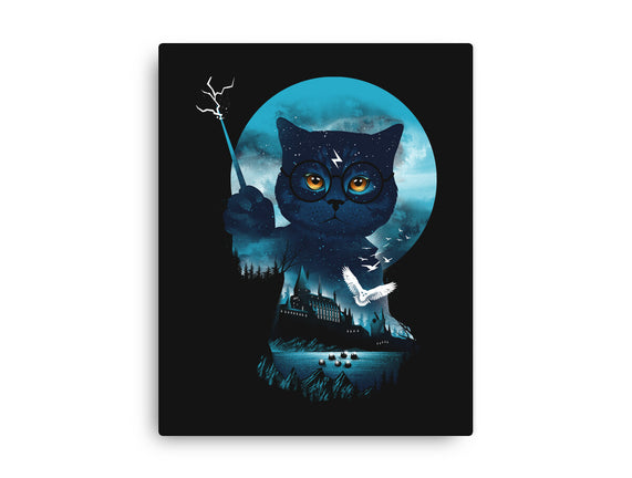 Furry Potter