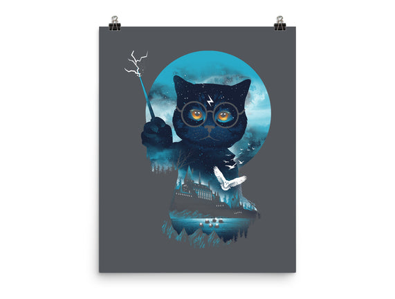 Furry Potter