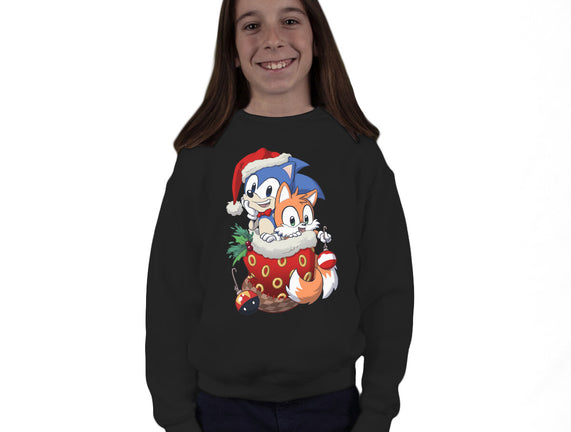 Stocking Stuffer Hedgehog