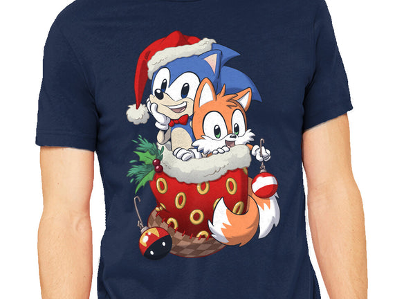 Stocking Stuffer Hedgehog