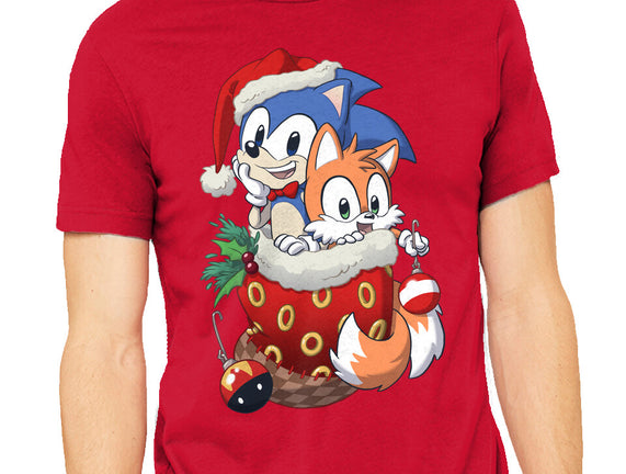 Stocking Stuffer Hedgehog