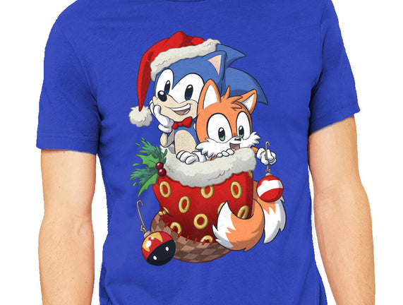 Stocking Stuffer Hedgehog