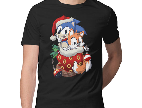 Stocking Stuffer Hedgehog