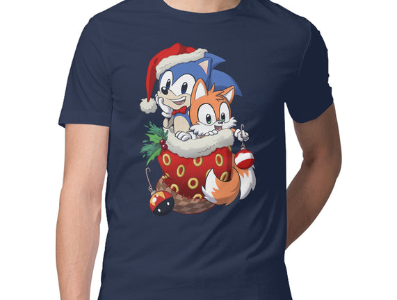 Stocking Stuffer Hedgehog