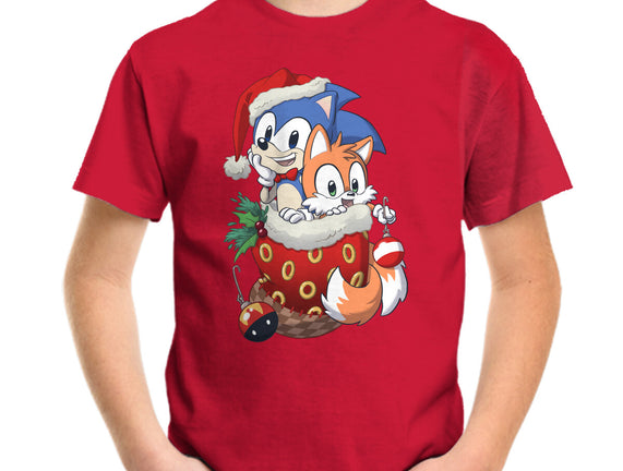 Stocking Stuffer Hedgehog
