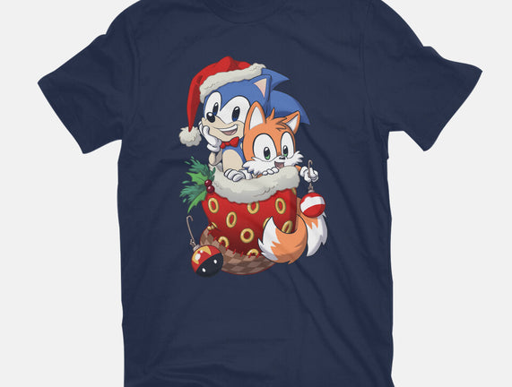 Stocking Stuffer Hedgehog