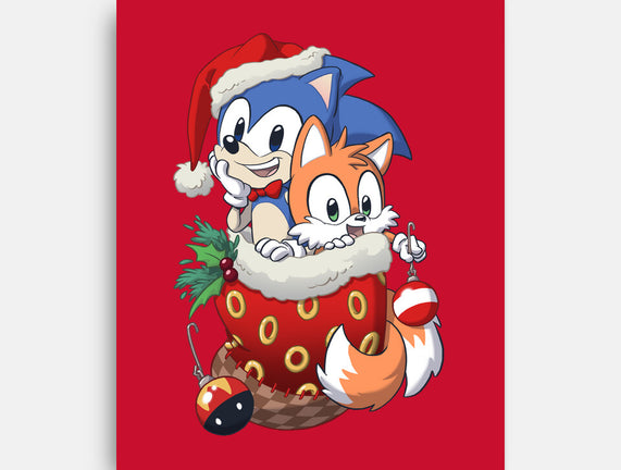 Stocking Stuffer Hedgehog