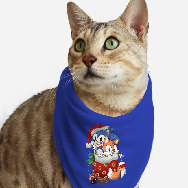 Stocking Stuffer Hedgehog-cat bandana pet collar-DoOomcat