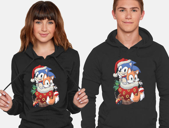 Stocking Stuffer Hedgehog