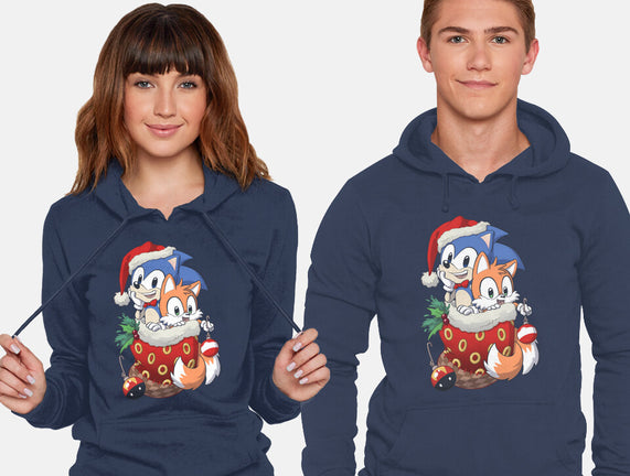 Stocking Stuffer Hedgehog