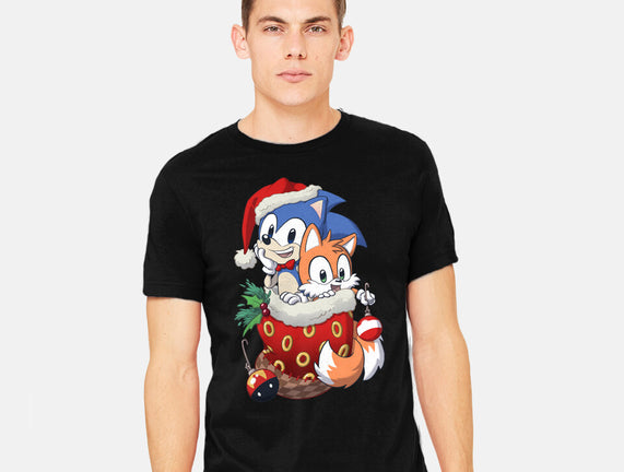 Stocking Stuffer Hedgehog