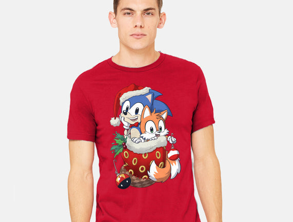 Stocking Stuffer Hedgehog