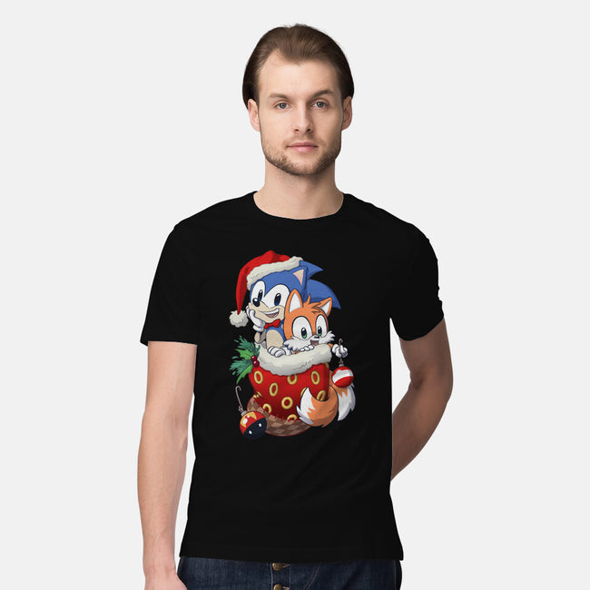 Stocking Stuffer Hedgehog-mens premium tee-DoOomcat