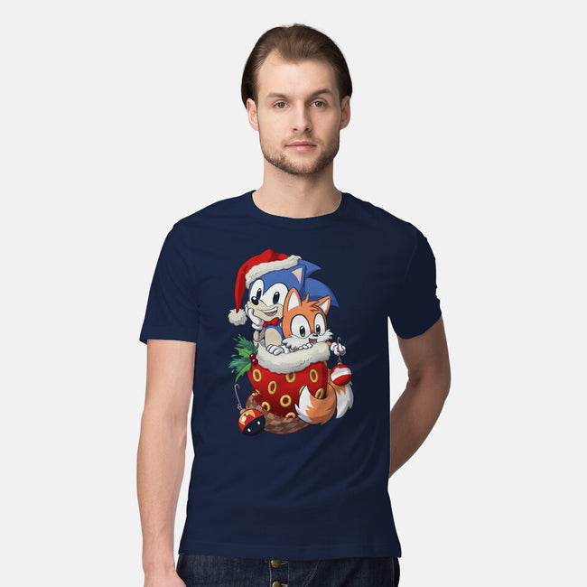 Stocking Stuffer Hedgehog-mens premium tee-DoOomcat