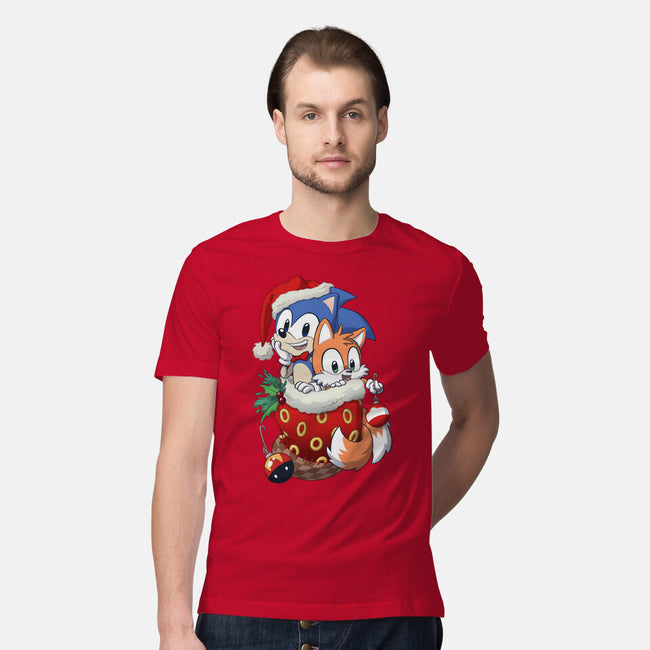 Stocking Stuffer Hedgehog-mens premium tee-DoOomcat