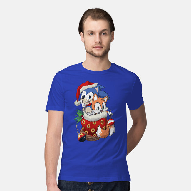 Stocking Stuffer Hedgehog-mens premium tee-DoOomcat
