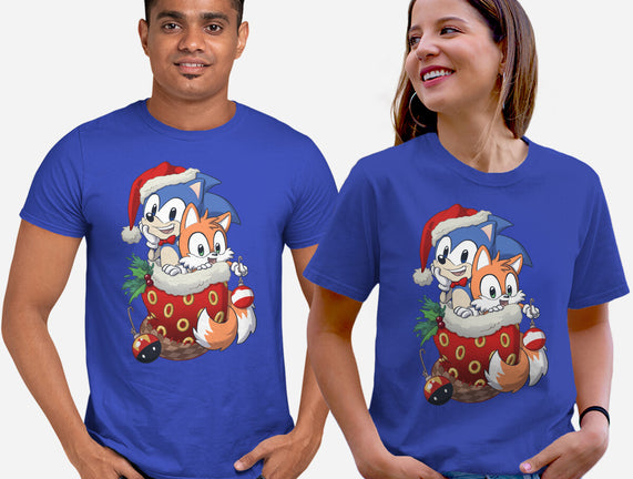Stocking Stuffer Hedgehog