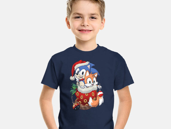 Stocking Stuffer Hedgehog