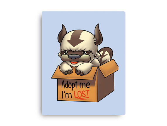Adopt Appa